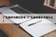 广东麻将马跟杠的书（广东麻将里的马是什么）